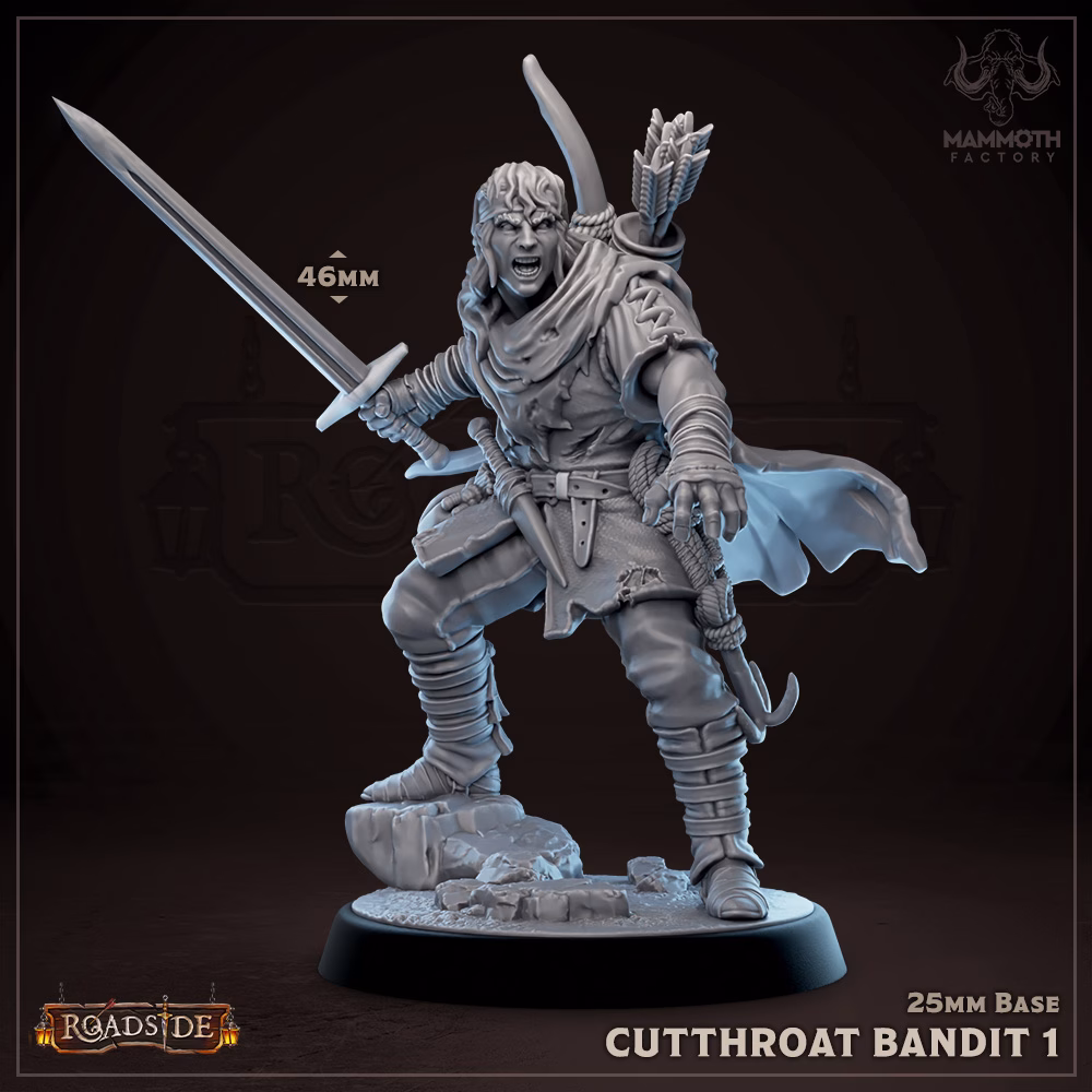 Kaelen the Quick-Blade – Cutthroat Bandit - Image 2